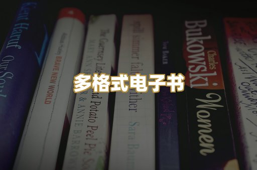 PDF电子书下载